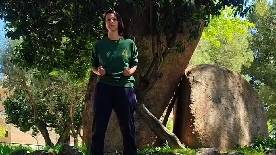 Shaolin XiaoHongQuan XinYiBa